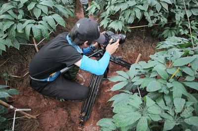 央视再度探秘无限极中草药种植基地